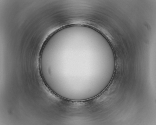 X0000110920848200906181407