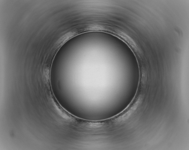 X0000110920849200906181407