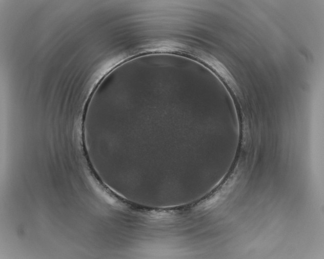 X0000110920850200906181407