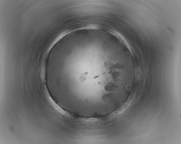 X0000110920851200906181407
