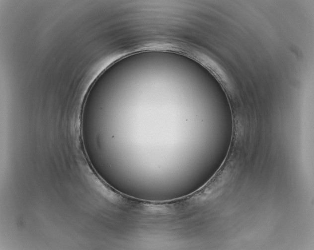 X0000110920852200906181407