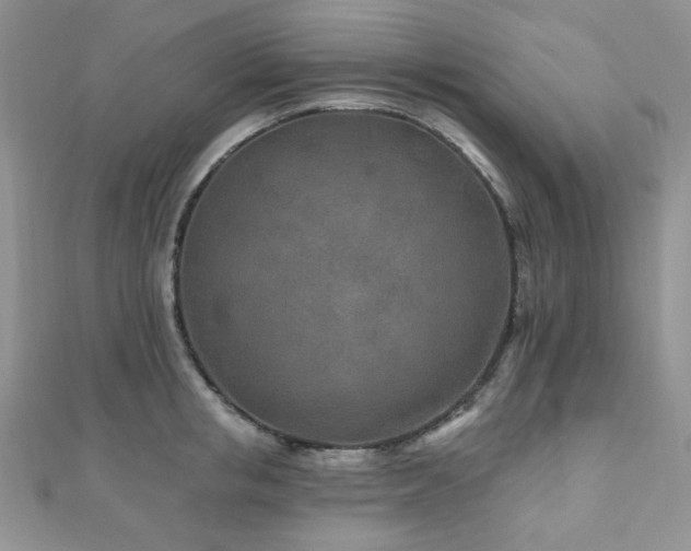 X0000110920853200906181407