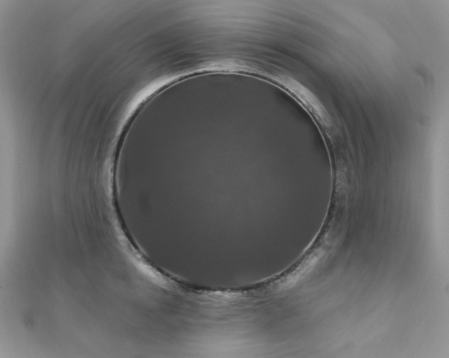X0000110920854200906181407