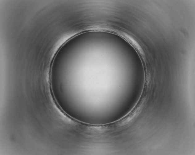X0000110920855200906181407