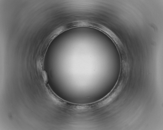 X0000110920857200906181407