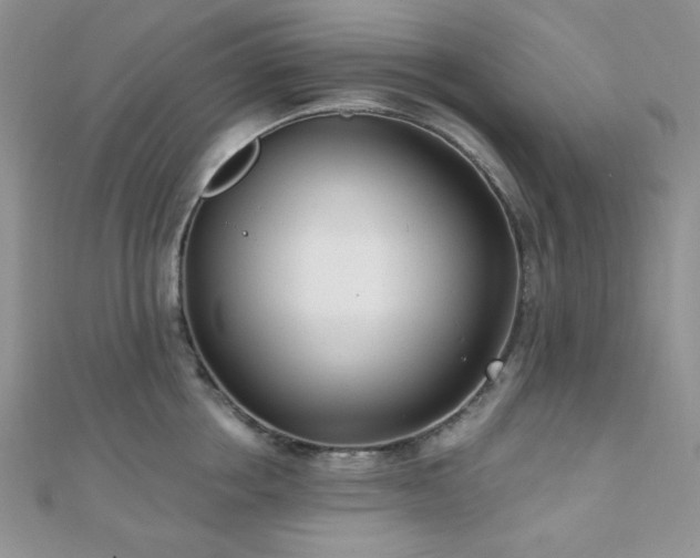 X0000110920858200906181407