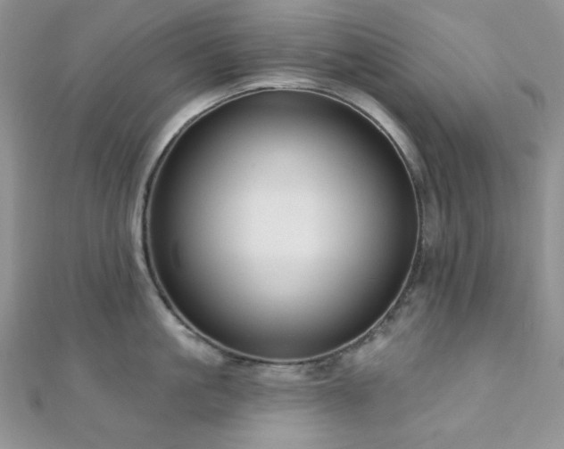 X0000110920861200906181407