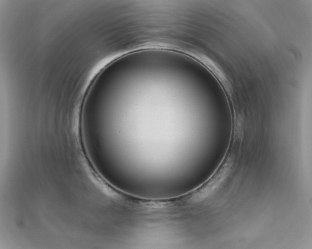X0000110920862200906181407
