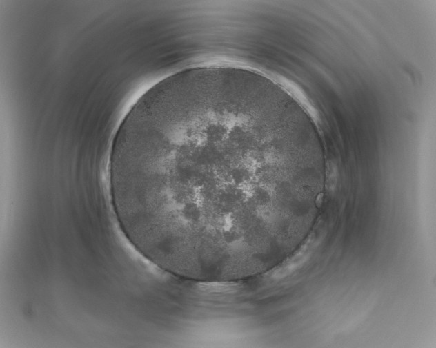 X0000110920863200906181407