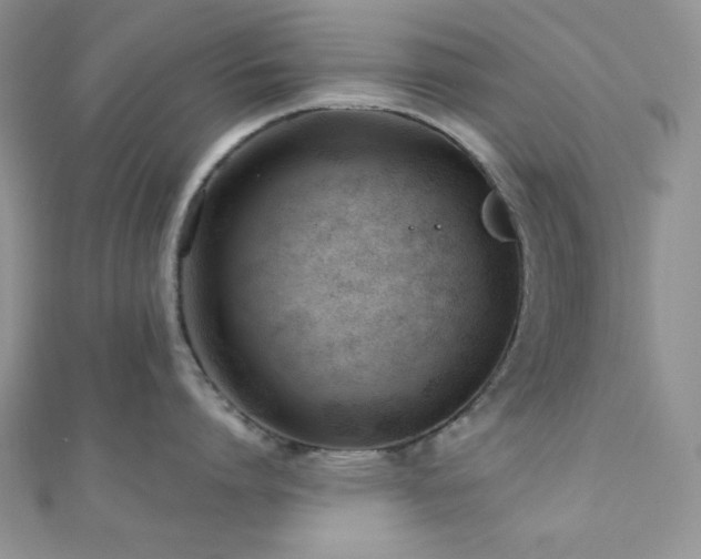 X0000110920864200906181407