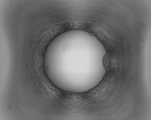 X0000110920865200906181407