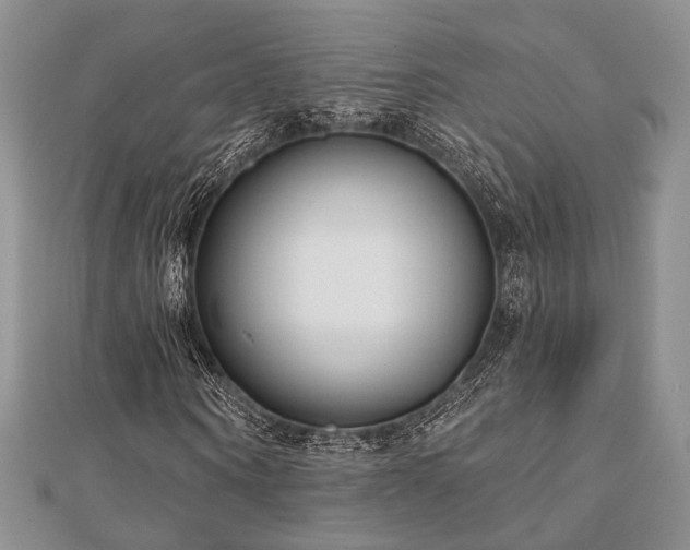 X0000110920866200906181407