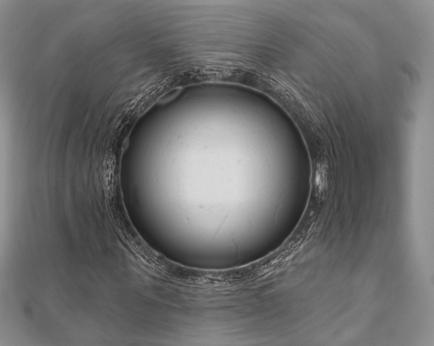 X0000110920867200906181407