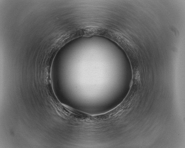 X0000110920868200906181407