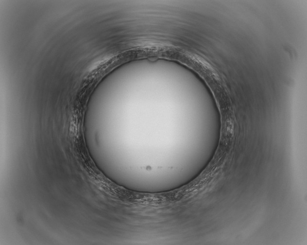 X0000110920869200906181407
