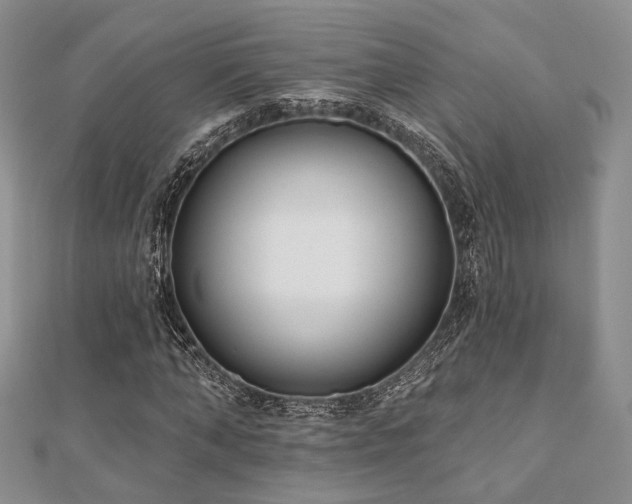 X0000110920870200906181407