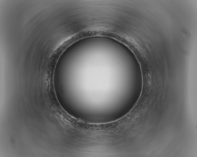 X0000110920872200906181406