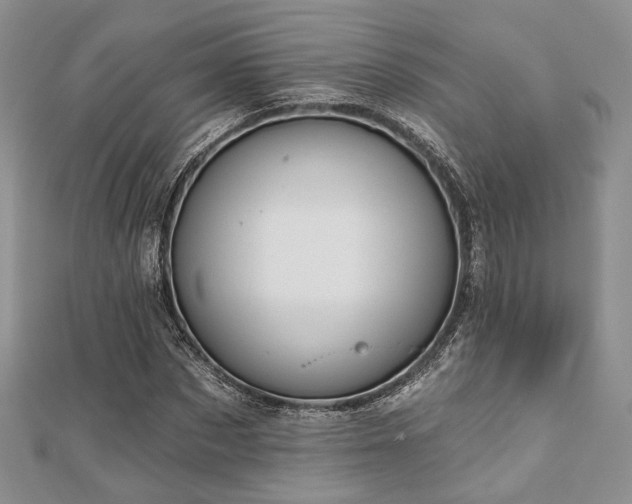 X0000110920873200906181406