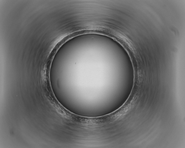 X0000110920875200906181406