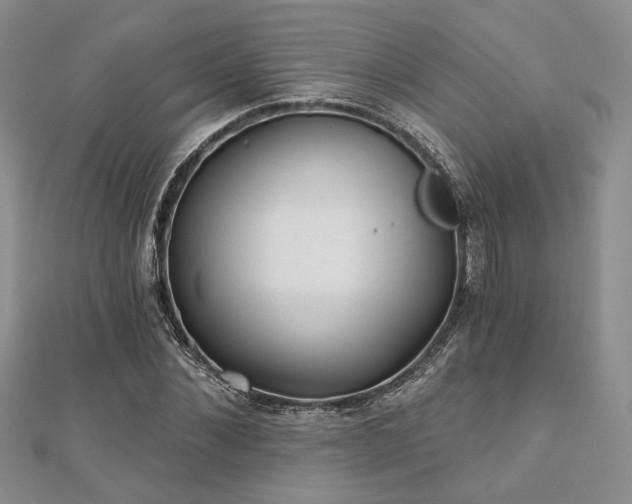 X0000110920876200906181406