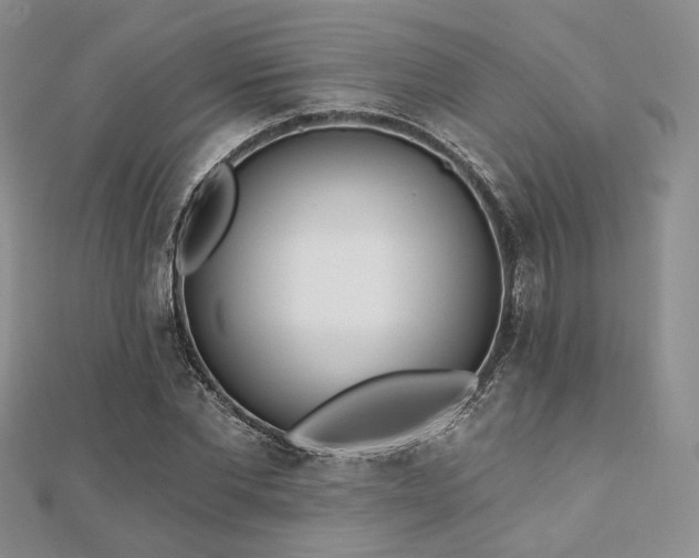 X0000110920877200906181406