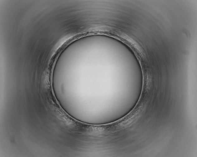 X0000110920878200906181406