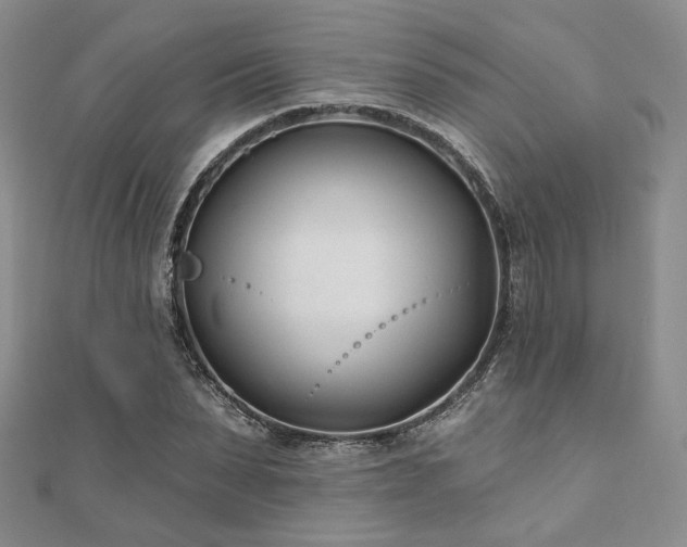 X0000110920879200906181406