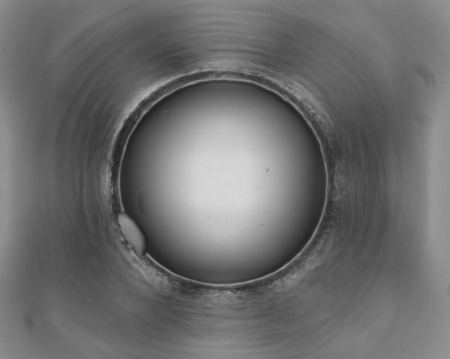 X0000110920880200906181406