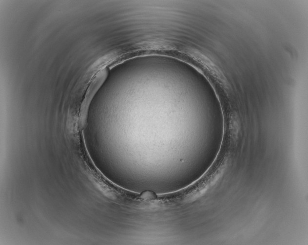 X0000110920881200906181406