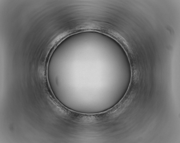 X0000110920882200906181406