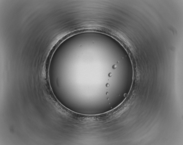 X0000110920883200906181406