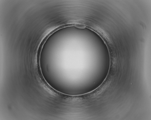 X0000110920884200906181406