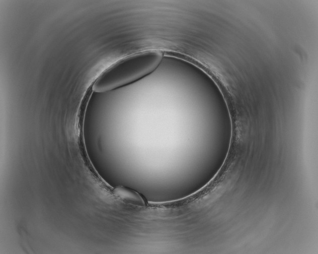 X0000110920885200906181406