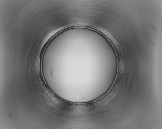 X0000110920886200906181406