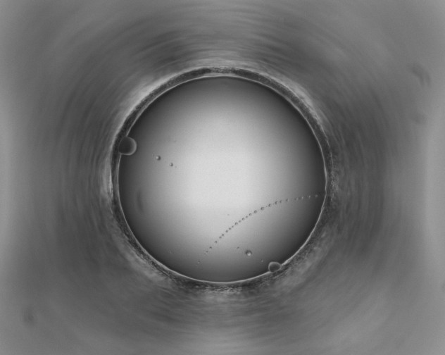 X0000110920887200906181406