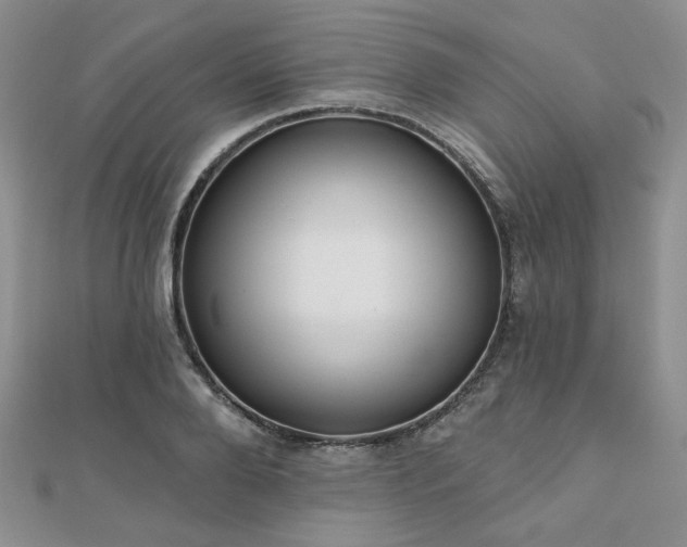 X0000110920888200906181406
