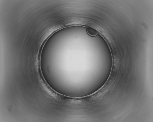 X0000110920890200906181406