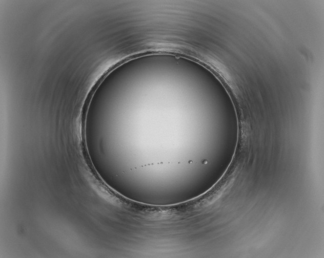 X0000110920891200906181406