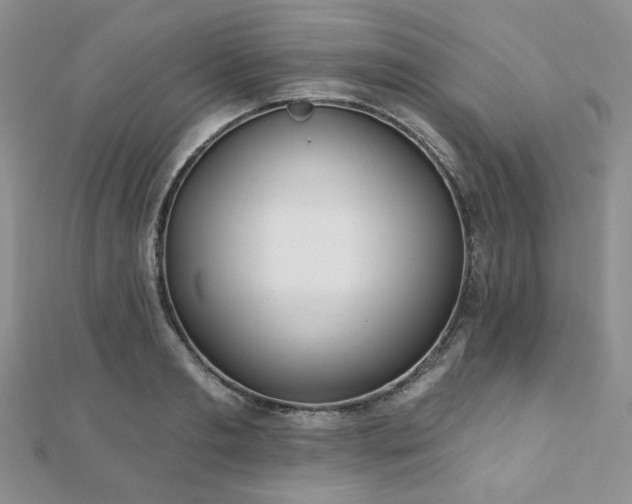 X0000110920893200906181406