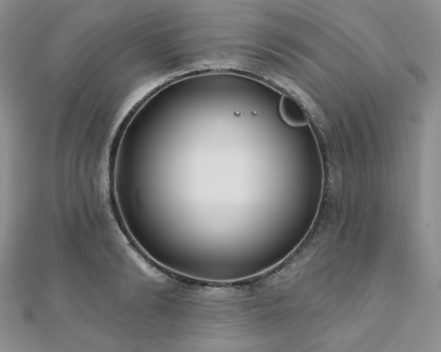 X0000110920894200906181406