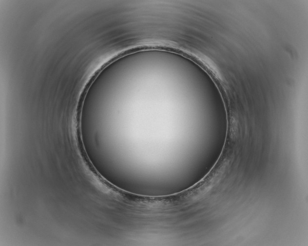 X0000110920895200906181406