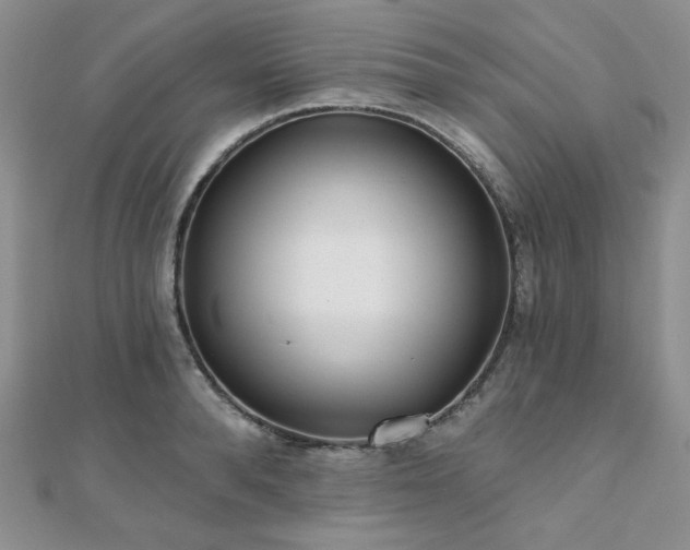 X0000110920896200906181406