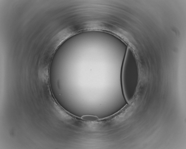 X0000110920897200906181406
