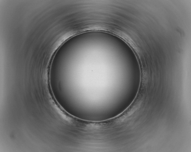 X0000110920898200906181406