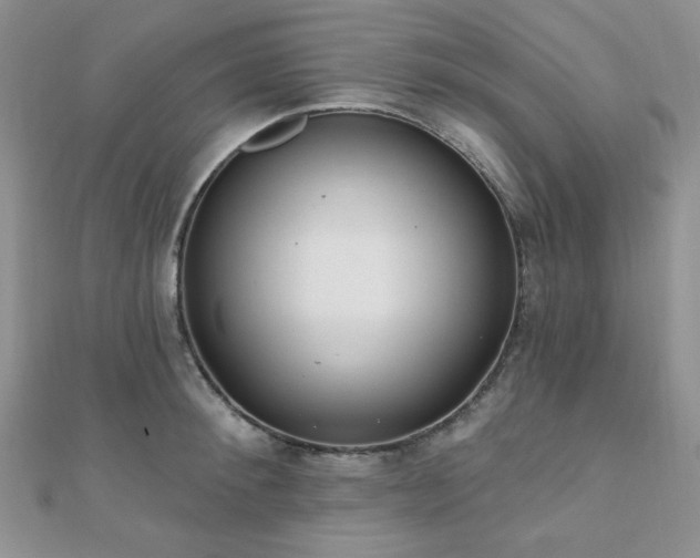 X0000110920900200906181406