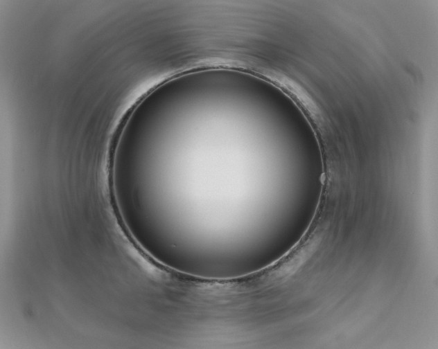 X0000110920902200906181406