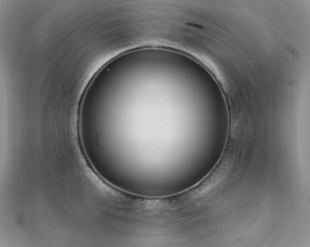 X0000110920903200906181406