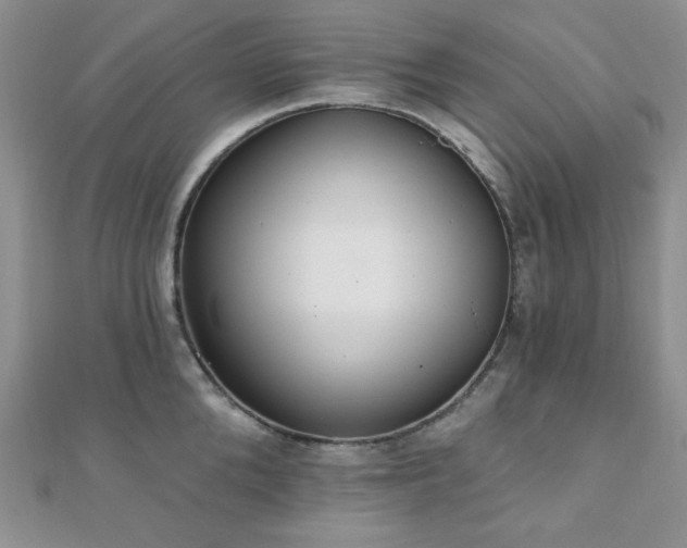 X0000110920904200906181406
