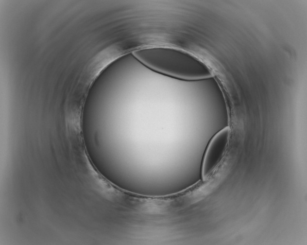X0000110920905200906181406