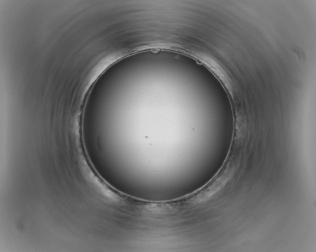 X0000110920906200906181406